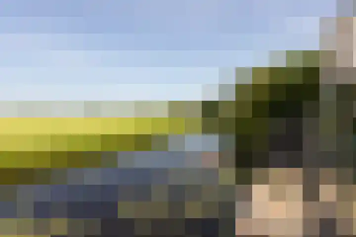 Riperwei 40 Jutrijp thumbnail 31