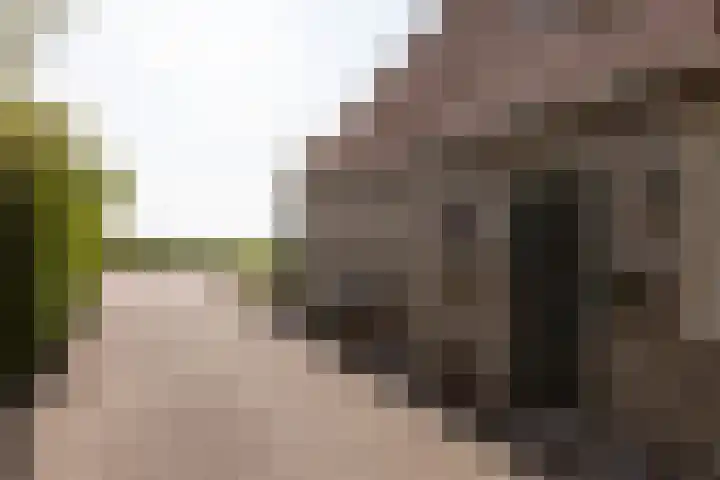 Riperwei 40 Jutrijp thumbnail 33
