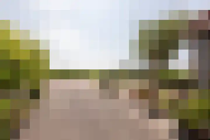 Riperwei 40 Jutrijp thumbnail 34