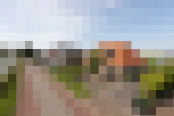 Riperwei 40 Jutrijp thumbnail 36