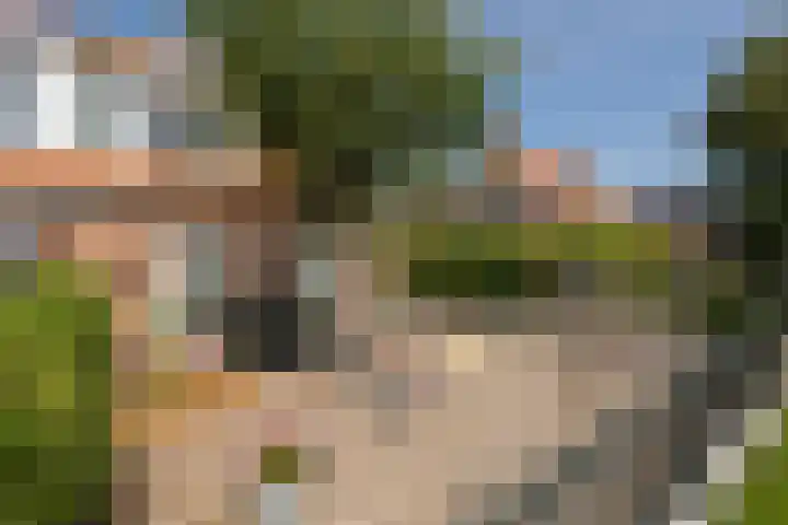 Riperwei 40 Jutrijp thumbnail 37