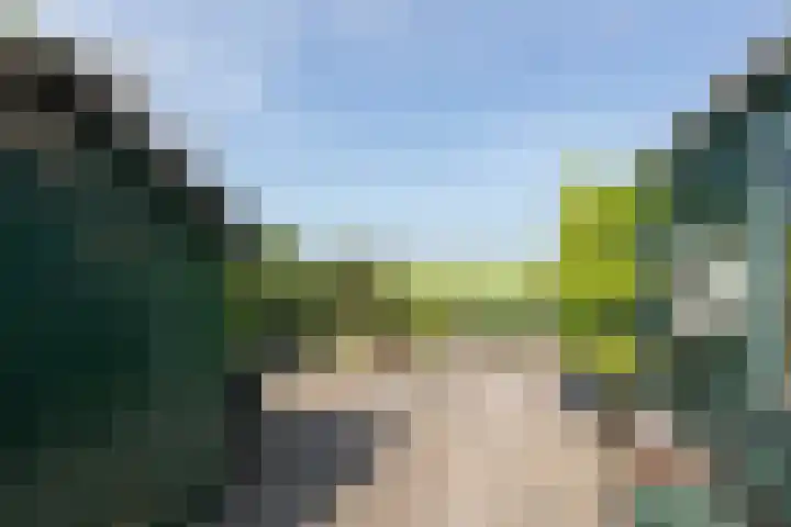 Riperwei 40 Jutrijp thumbnail 5