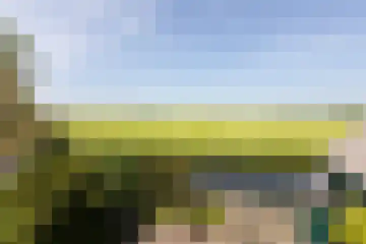 Riperwei 40 Jutrijp thumbnail 6