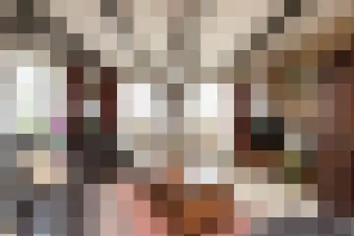 Riperwei 40 Jutrijp thumbnail 8