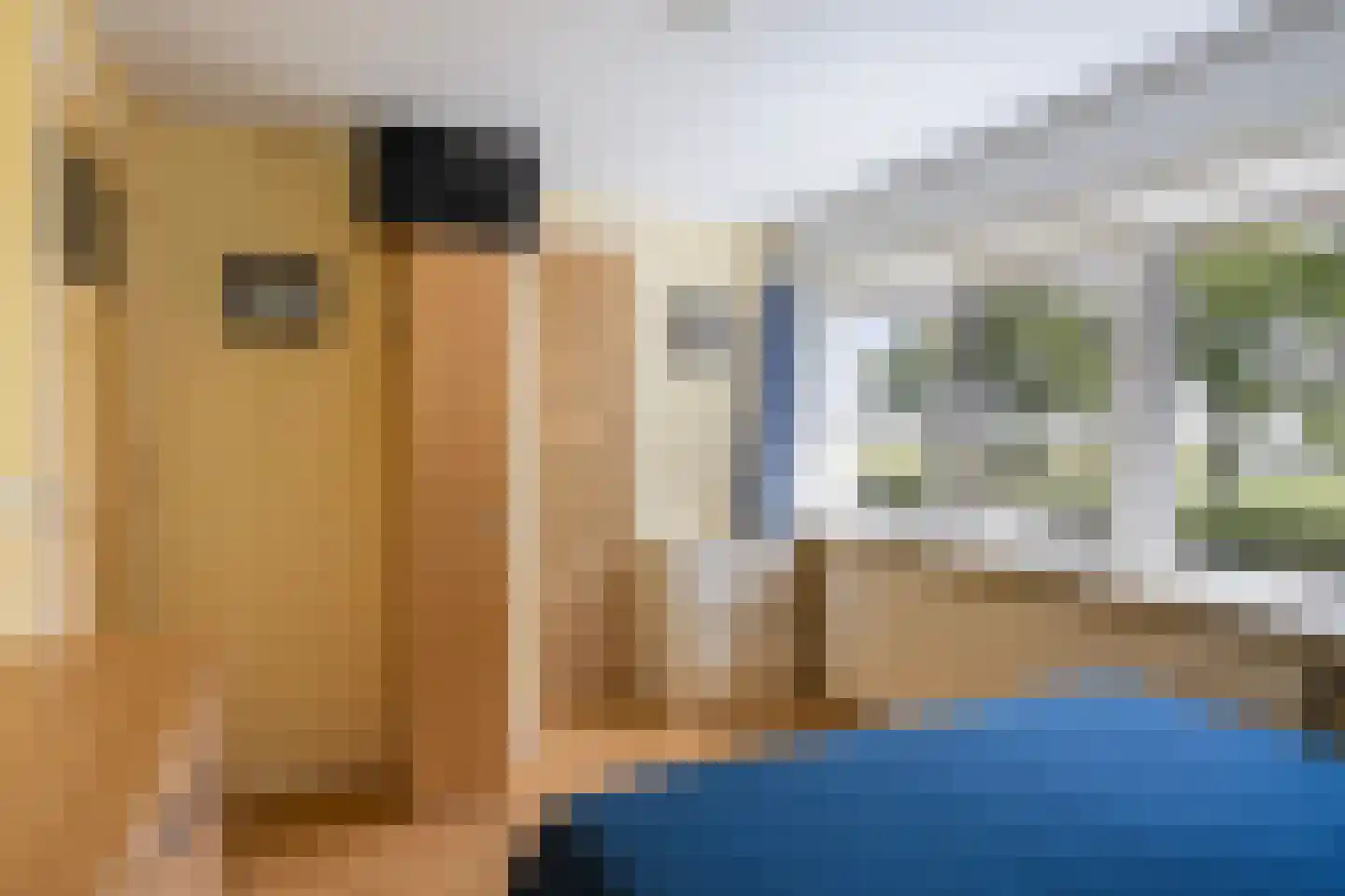 Riperwei 58 Jutrijp thumbnail 20