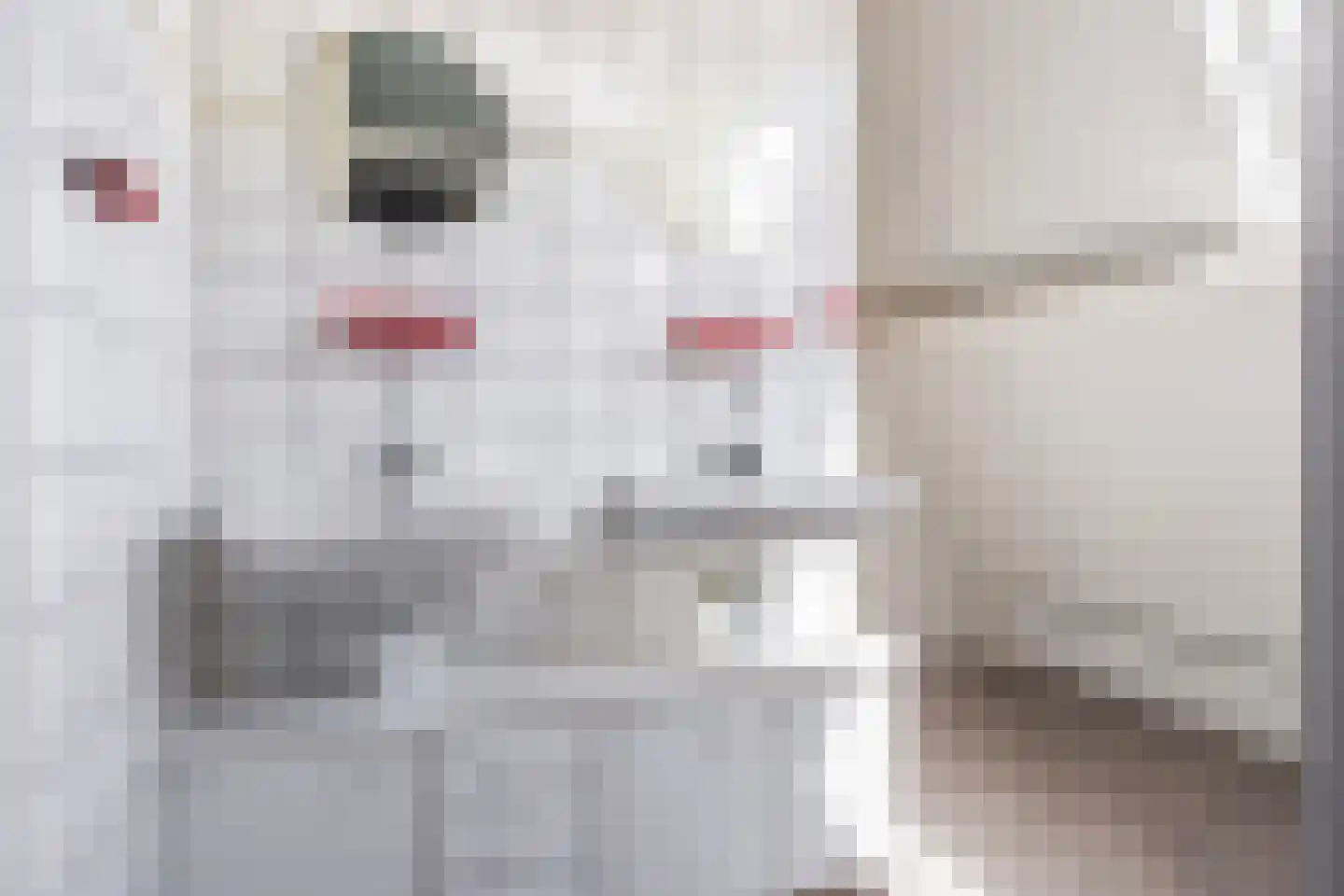 Riperwei 58 Jutrijp thumbnail 27
