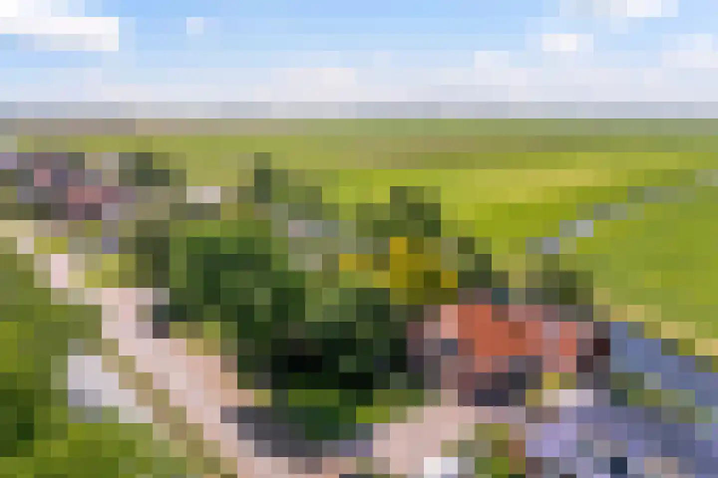 Riperwei 58 Jutrijp thumbnail 46
