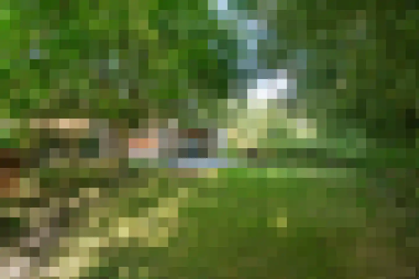 Riperwei 74 A Tijnje thumbnail 11