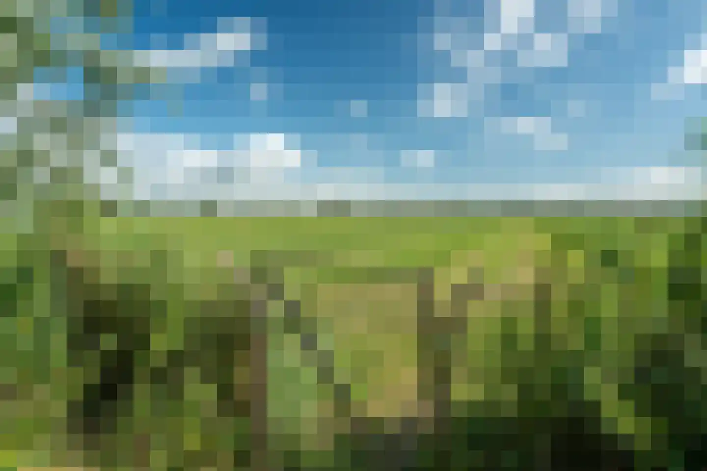 Riperwei 74 A Tijnje thumbnail 16