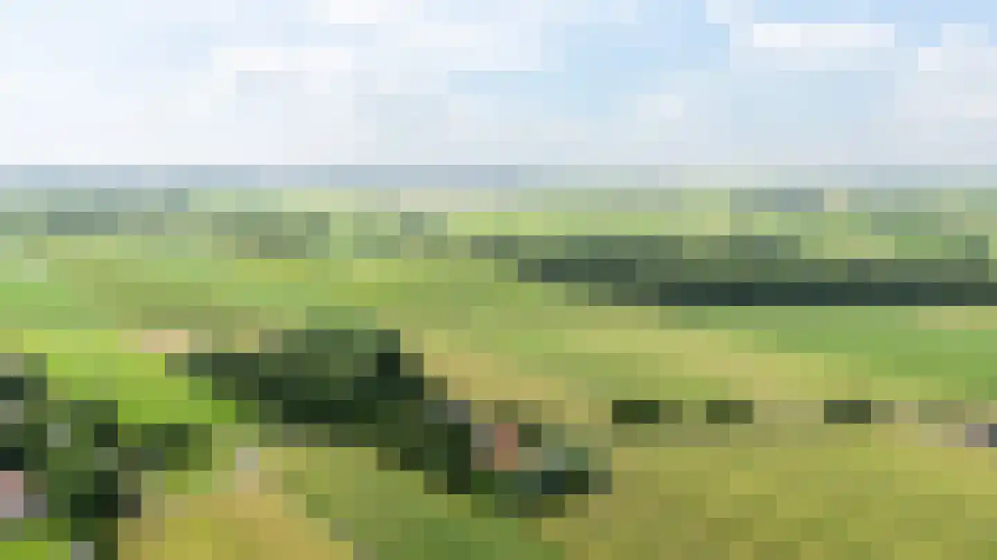 Riperwei 74 A Tijnje foto 2