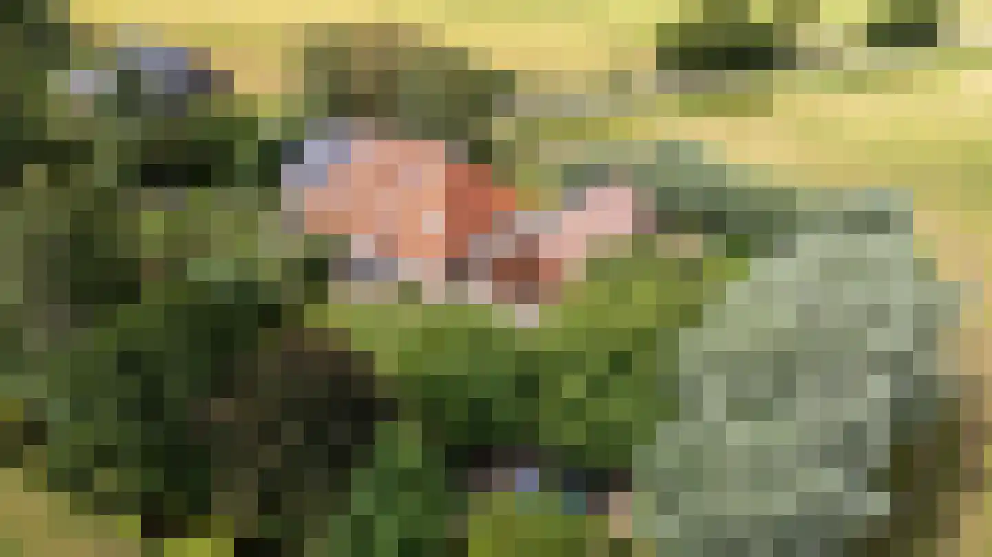 Riperwei 74 A Tijnje foto 3