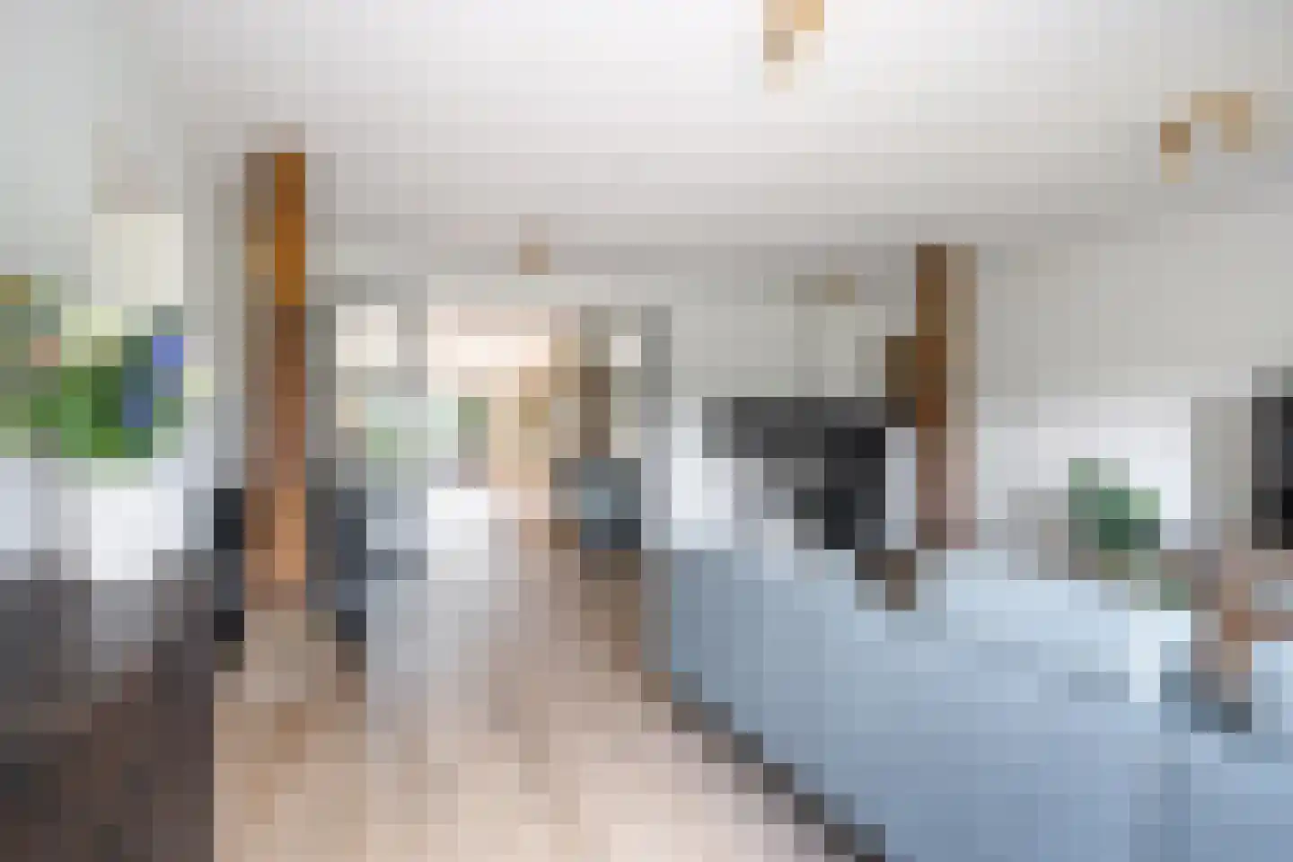 Riperwei 74 A Tijnje thumbnail 33