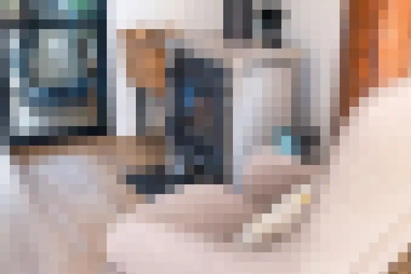 Riperwei 74 A Tijnje thumbnail 34