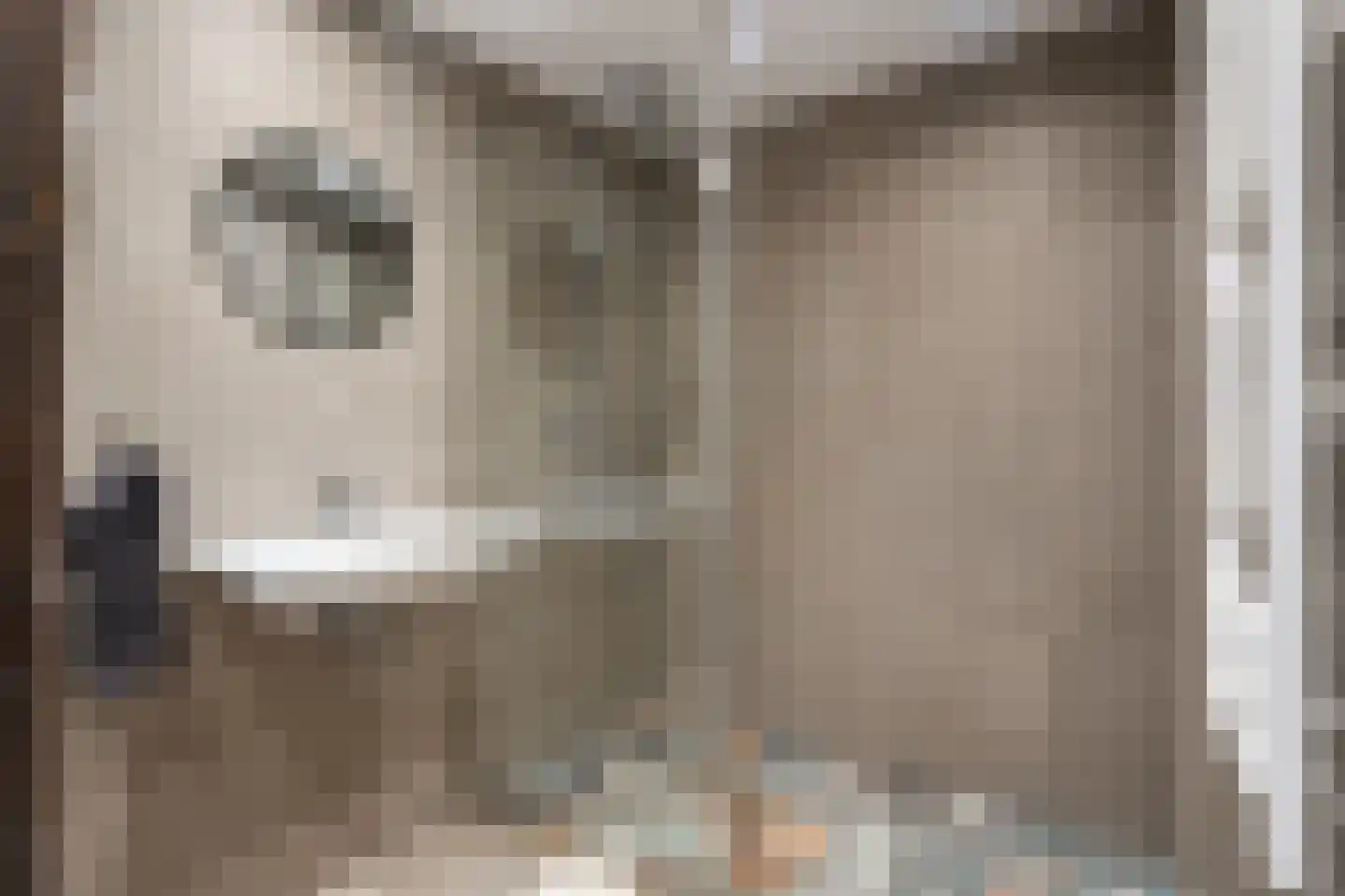 Riperwei 74 A Tijnje thumbnail 48