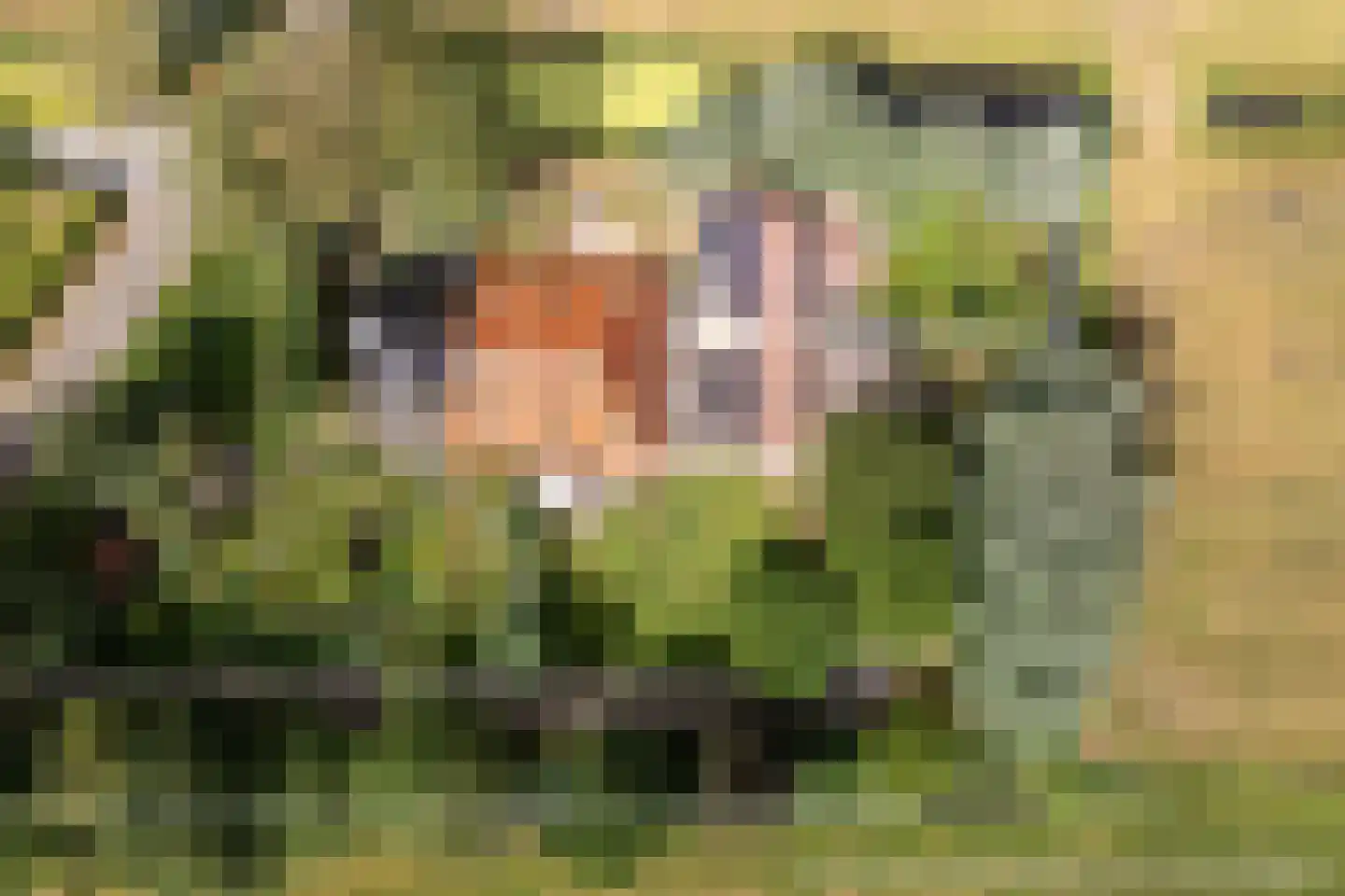 Riperwei 74 A Tijnje thumbnail 5