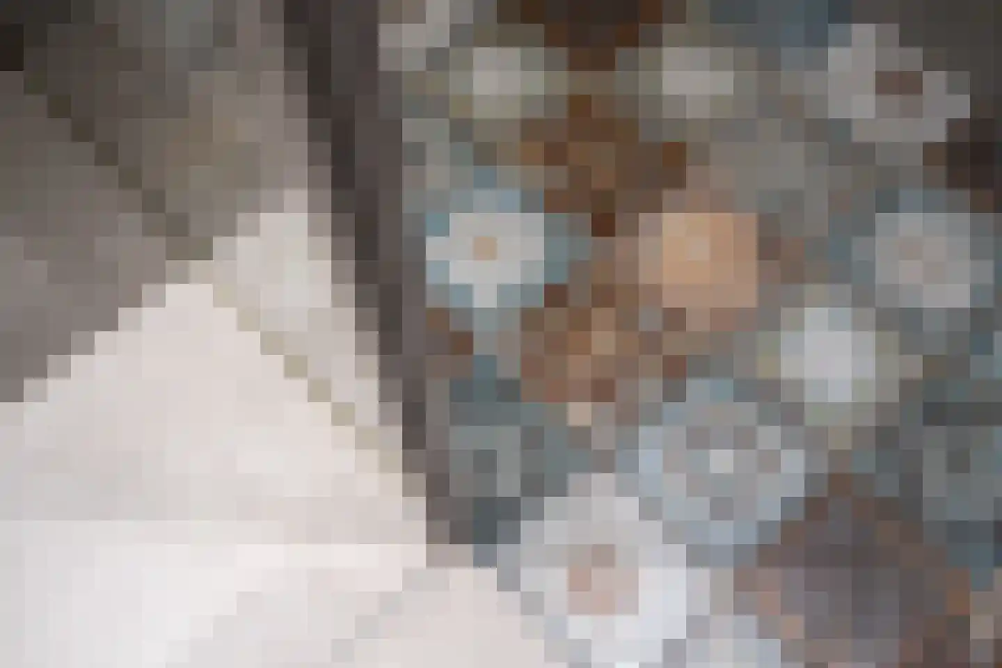 Riperwei 74 A Tijnje thumbnail 50