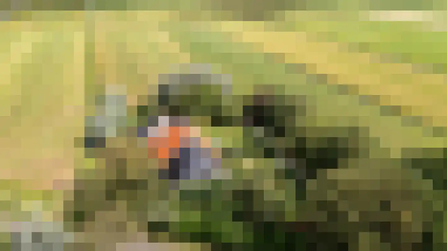Riperwei 74 A Tijnje thumbnail 6