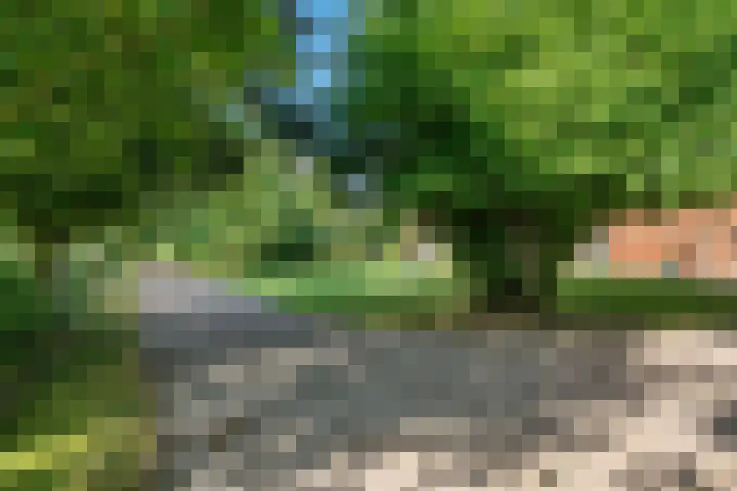Riperwei 74 A Tijnje thumbnail 7