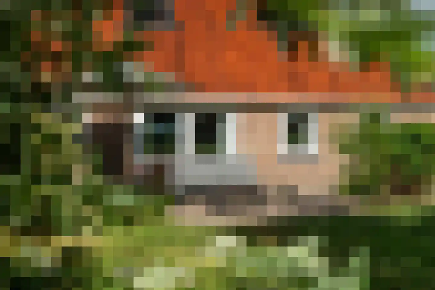 Riperwei 74 A Tijnje thumbnail 71