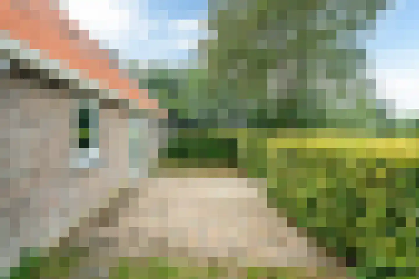 Riperwei 74 A Tijnje thumbnail 76