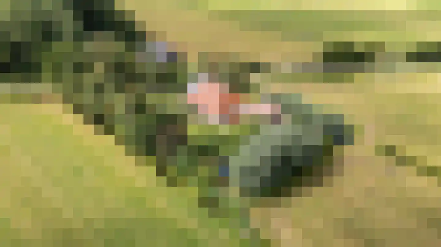 Riperwei 74 A Tijnje thumbnail 77