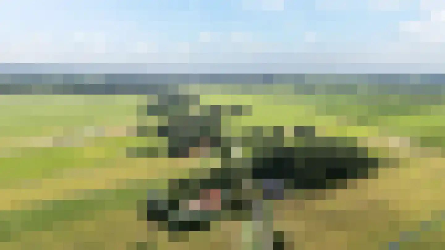 Riperwei 74 A Tijnje thumbnail 78