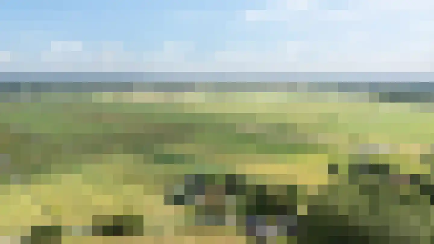 Riperwei 74 A Tijnje thumbnail 79