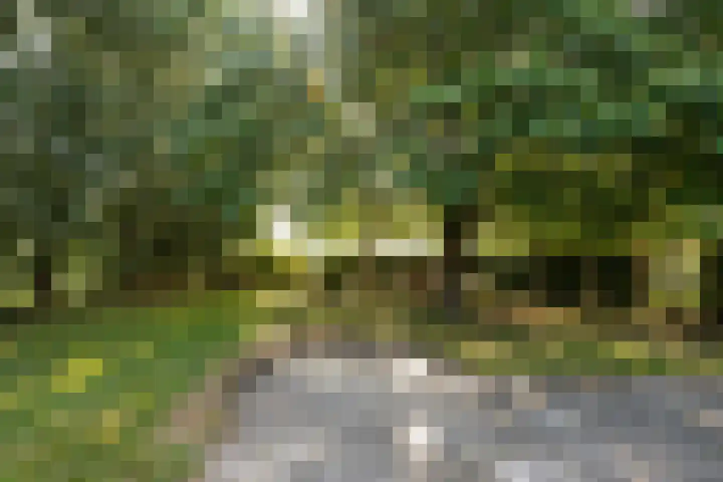 Riperwei 74 A Tijnje thumbnail 9