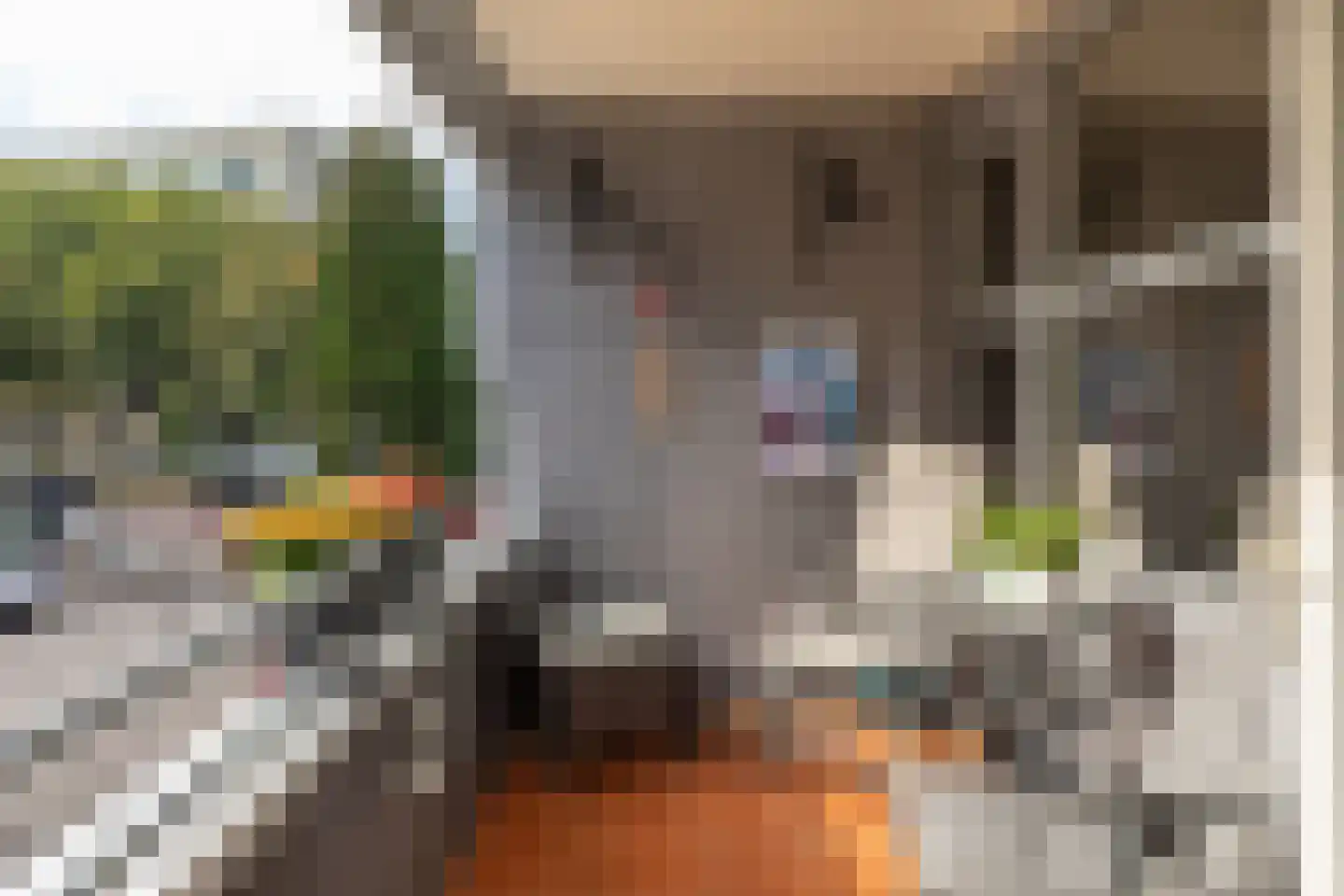 Ripolinpad 17 Hilversum thumbnail 24