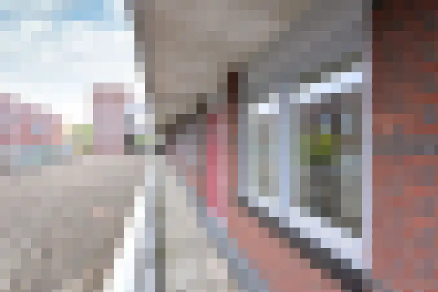 Ripolinpad 5 Hilversum thumbnail 4