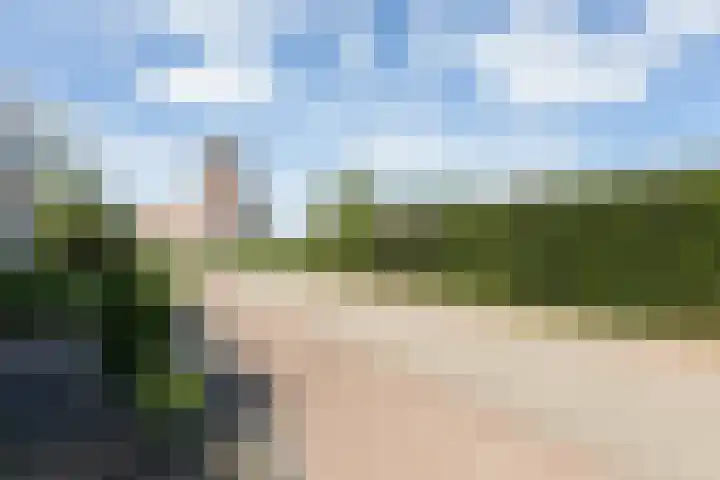 Ripperbansveen 3 Wehl thumbnail 10