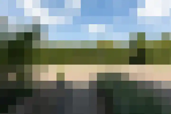 Ripperbansveen 3 Wehl thumbnail 11