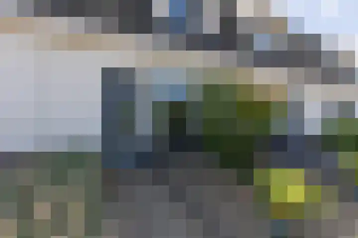 Ripperbansveen 3 Wehl thumbnail 12