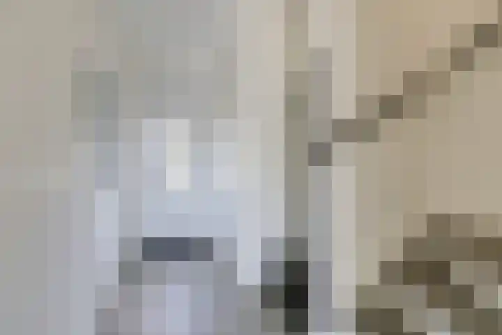 Ripperbansveen 3 Wehl thumbnail 14