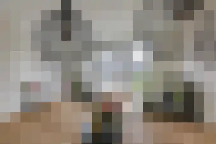 Ripperbansveen 3 Wehl thumbnail 21