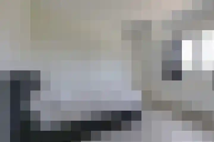 Ripperbansveen 3 Wehl thumbnail 31