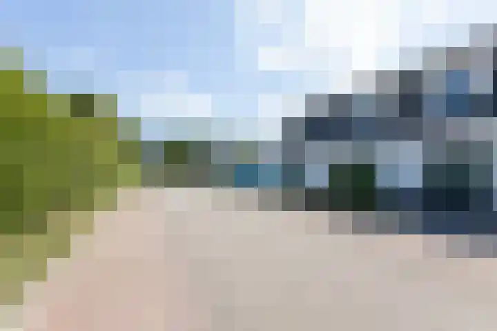 Ripperbansveen 3 Wehl thumbnail 9