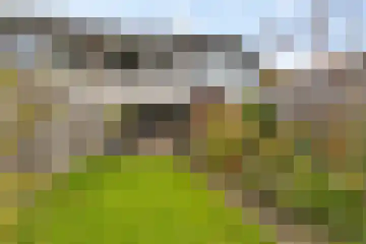 Ripperdadrift 162 in Uithuizen