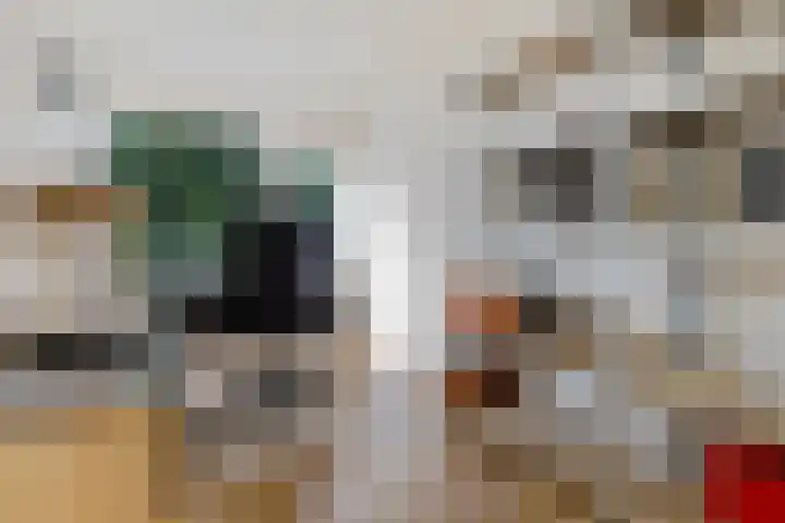 Ripperdadrift 162 Uithuizen thumbnail 22