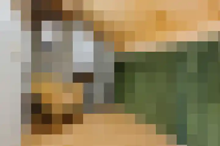 Ripperdadrift 162 Uithuizen thumbnail 26