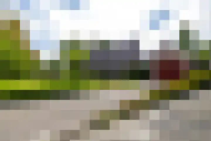 Ripperdadrift 63 Uithuizen