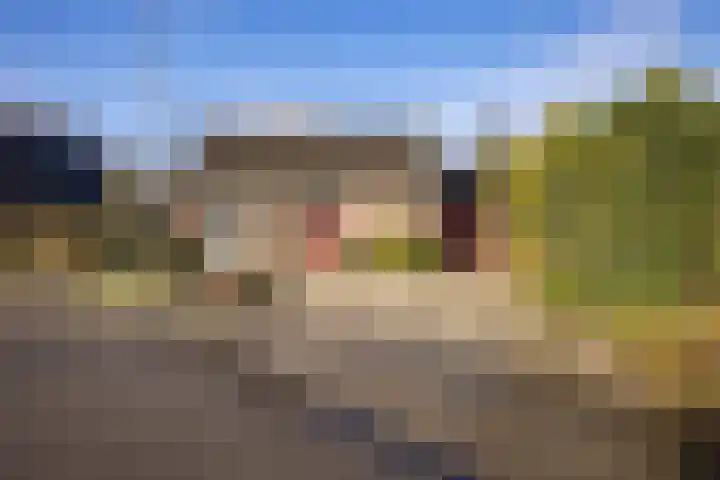 Ripperdadrift 77 Uithuizen