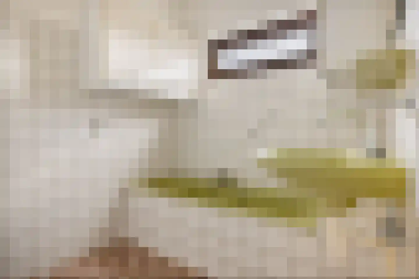 Ripperdadrift 77 Uithuizen thumbnail 10