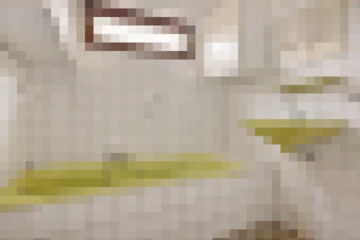 Ripperdadrift 77 Uithuizen thumbnail 12