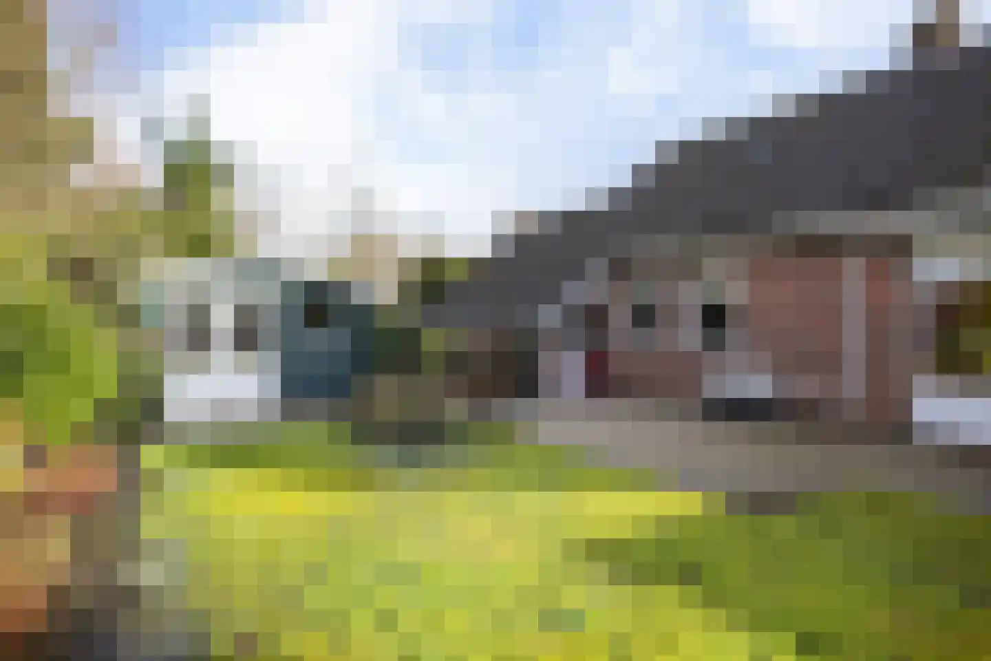 Ripperdadrift 77 Uithuizen thumbnail 30