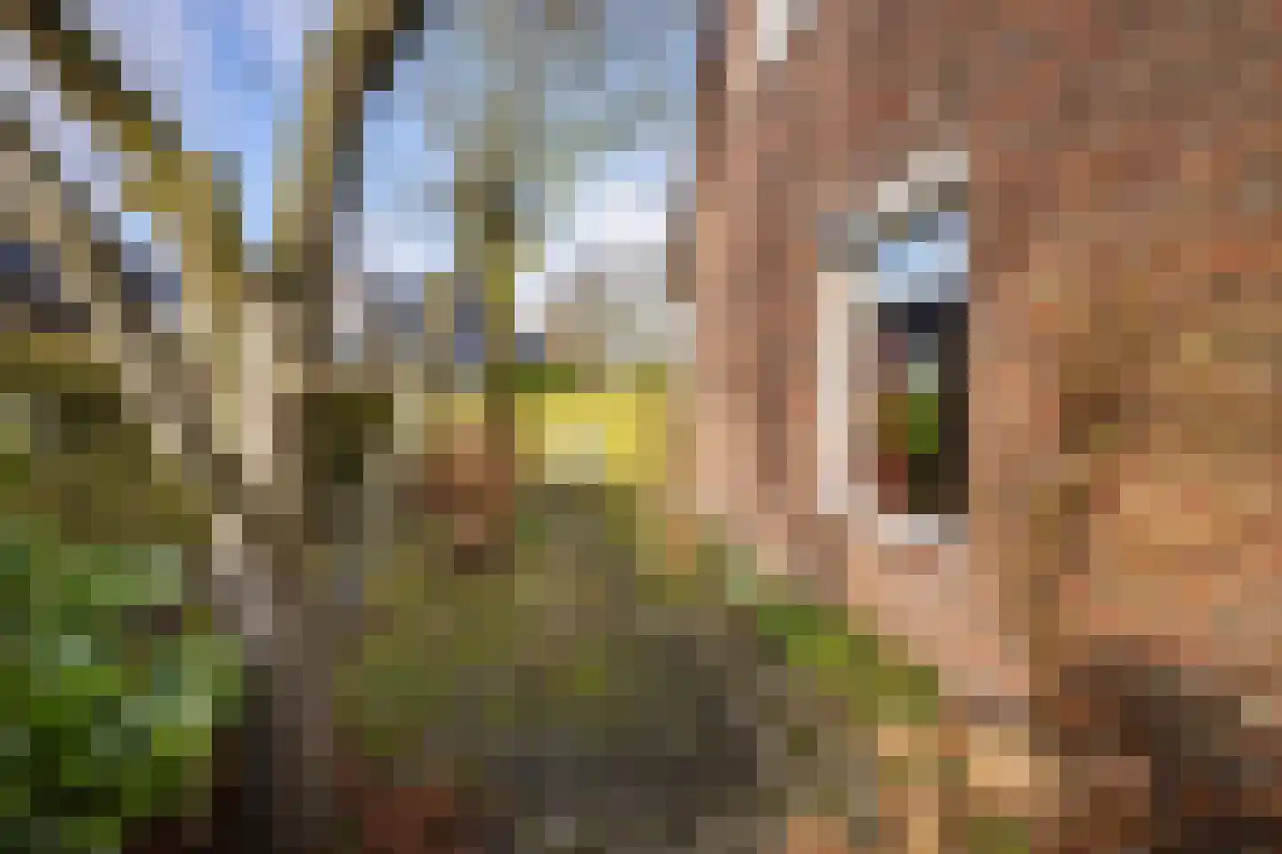 Ripperdadrift 77 Uithuizen thumbnail 35