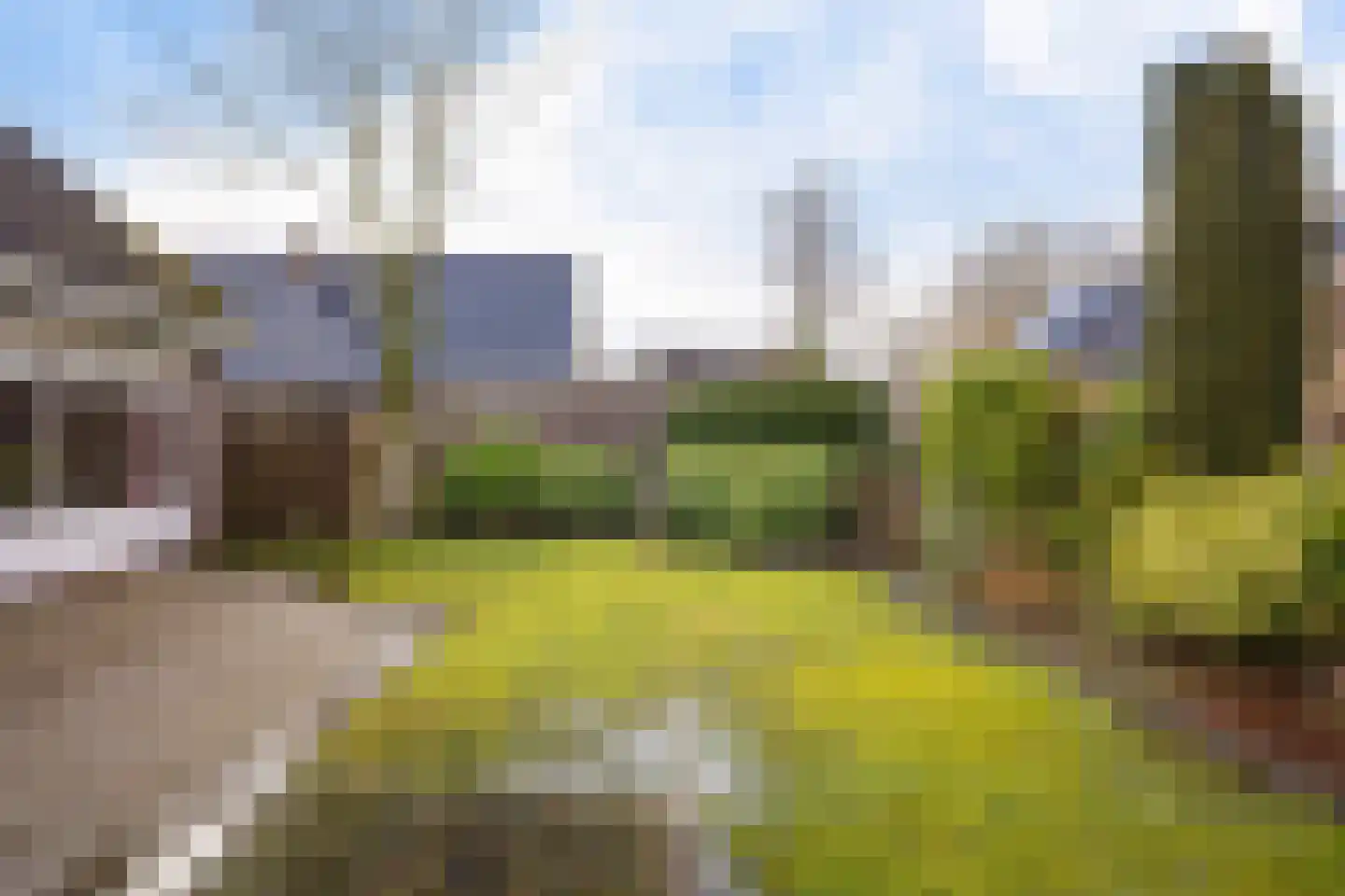 Ripperdadrift 77 Uithuizen thumbnail 7