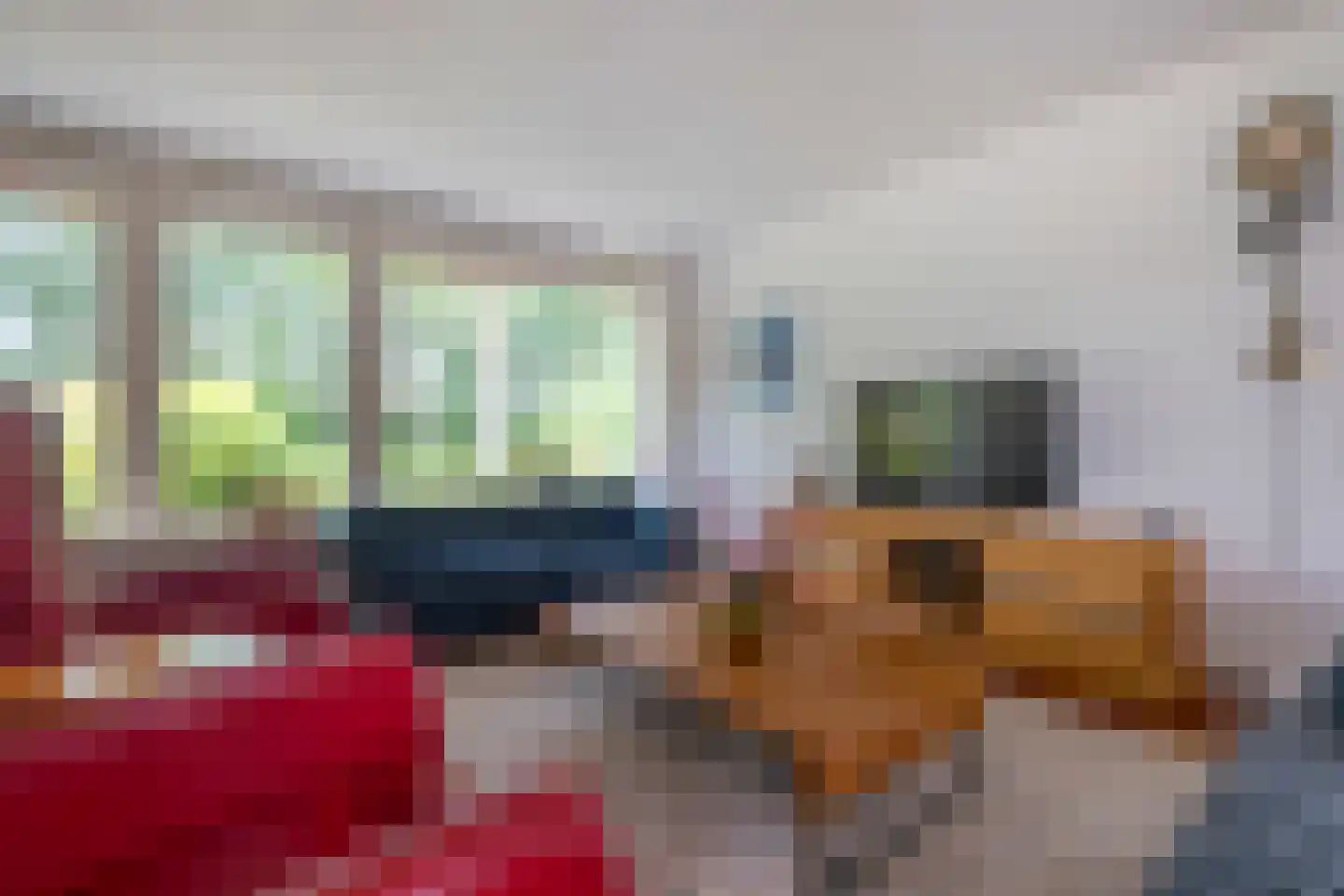 Ripperdalaan 1 Peize thumbnail 13