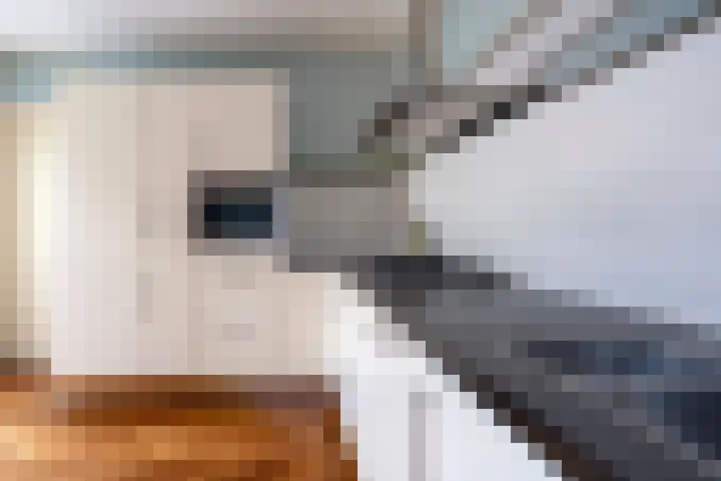 Ripperdalaan 1 Peize thumbnail 22