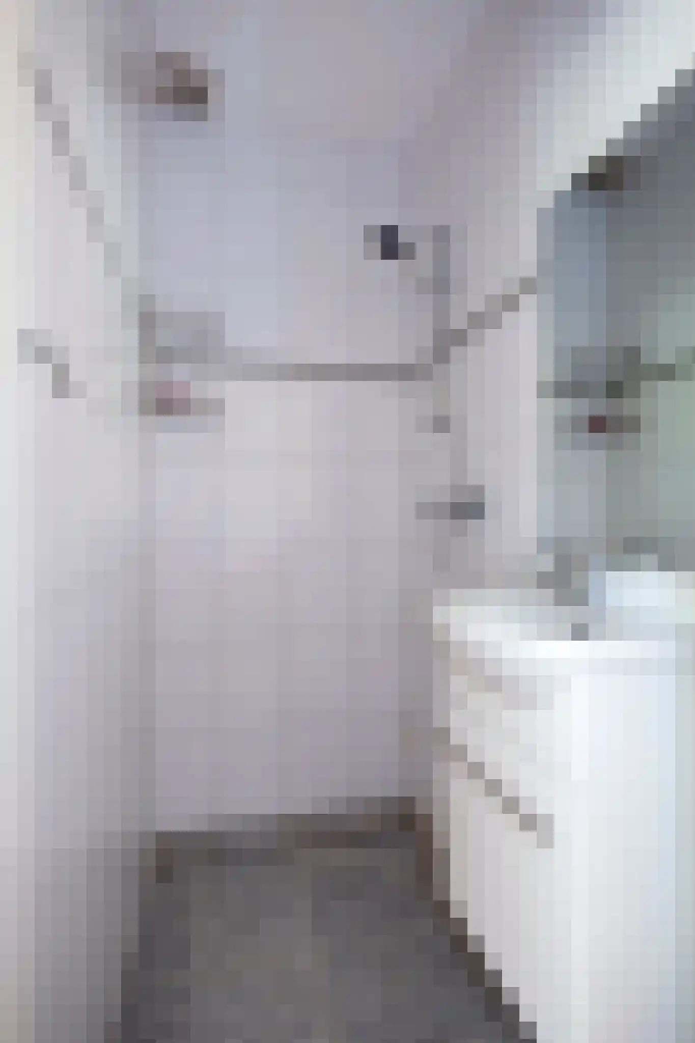 Ripperdalaan 1 Peize thumbnail 38